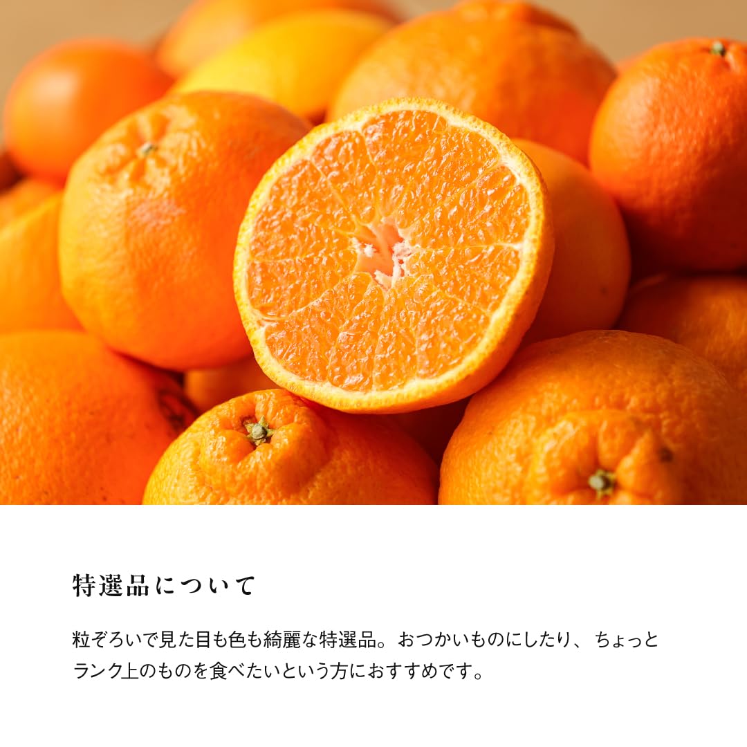 Amazon.co.jp: 伊藤農園 旬の 柑橘 詰め合わせ お楽しみ箱 特選5kg